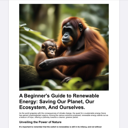 A Beginner's Guide to Renewables