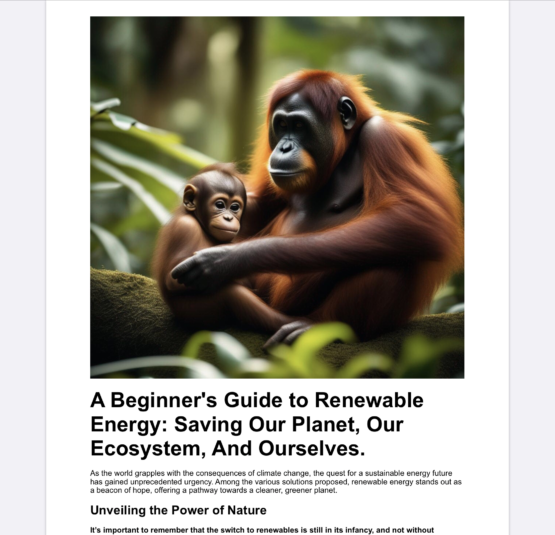 A Beginner's Guide to Renewables