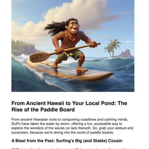 The Rise of the Paddle Board
