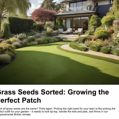 Grass Seeds Sorted